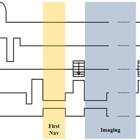 Pulse sequence diagram including two navigator echoes and imaging ...