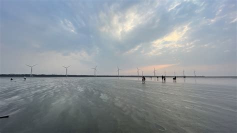 Exploring Taichung: Gaomei Wetlands