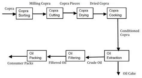 Coconut Oil from Copra Project Report at Rs 48000/project in New Delhi | ID: 4189031273