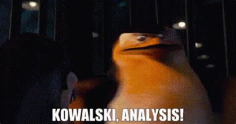 Penguins Of Madagascar Skipper GIF - Penguins Of Madagascar Skipper Kowalski Analysis - Discover ...