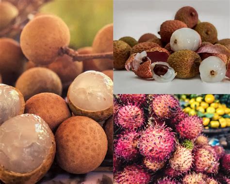 Rambutan vs Lychee vs Longan – Similarities and Differences - The ...