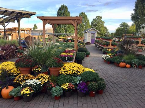 Hazeltine Nurseries - Garden Center