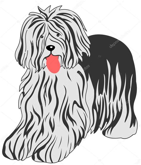 Bobtail dog — Stock Vector © goceristeski #1754100