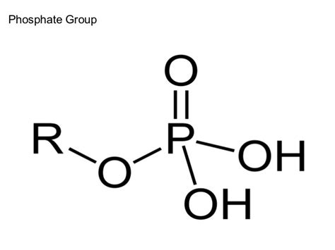 Phosphate group