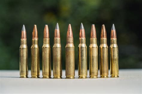 The Best Bullets for Deer Hunting - The Lodge at AmmoToGo.com