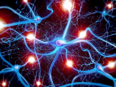 How Neurons Are Able to Keep Up the Chatter - Neuroscience News