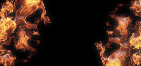 817 Background Png Free Fire Images & Pictures - MyWeb