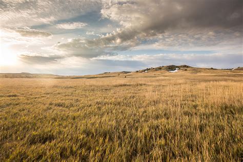 A rainfall simulator helps us understand grasslands | Magazine Articles | WWF