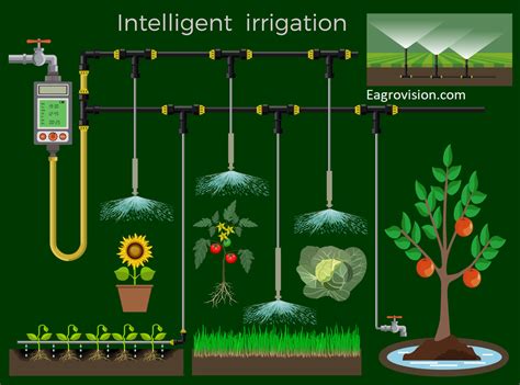 Irrigation: Beginners Guide to Irrigation (2023)