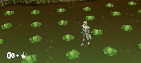 1-99 OSRS Farming Guide: Mastering the Art of Harvesting - Chicks Gold