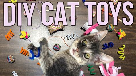 Cat Enrichment Toys Diy | Wow Blog