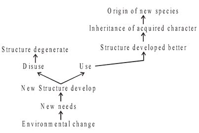 Theories of Organic Evolution