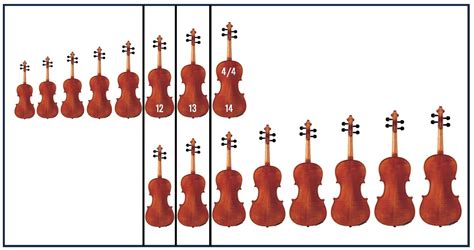 What’s the Difference Between Violin and Viola?