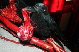 Guts and Gore Halloween Props (With images) | Halloween props, Halloween school treats, Gross ...