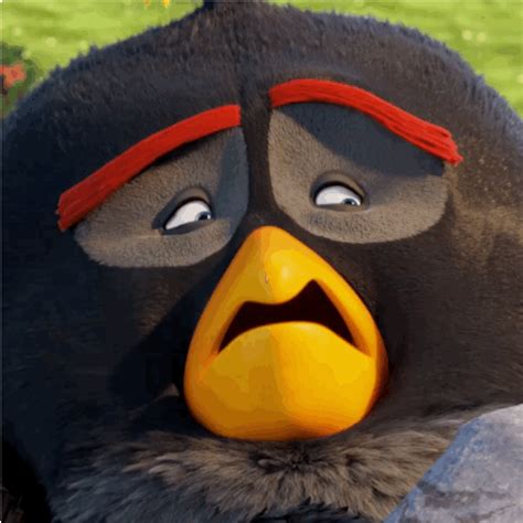 sad no crying bird stop why bomb angry birds the angry birds movie trending #GIF on #Giphy via # ...