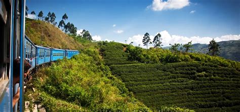 Best things to do in Bandarawela | Attractions in Bandarawela | Places to Visit in Bandarawela