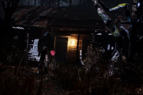 The Cabin in the Woods (Evil Dead: The Game) : r/VirtualPhotographers