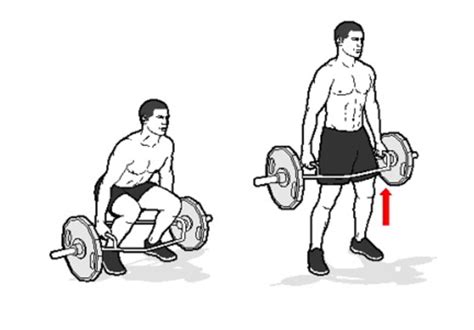 Deadlift variations, Deadlift, Trap bar deadlift