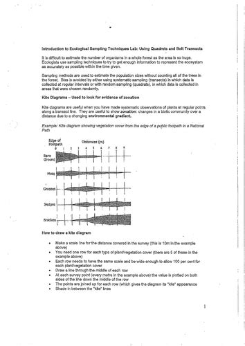 Kite Diagram | Teaching Resources