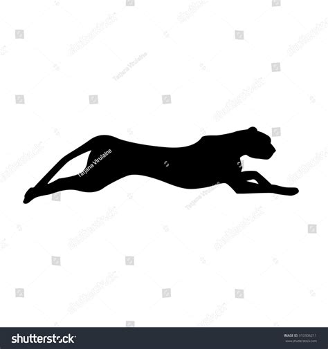 1,247 Black panther run Stock Vectors, Images & Vector Art | Shutterstock