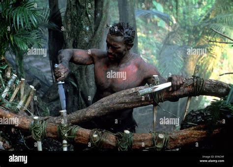 ARNOLD SCHWARZENEGGER PREDATOR (1987 Stock Photo, Royalty Free Image ...