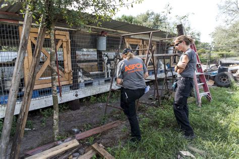 BREAKING NEWS - ASPCA Assists In Seizure of Nearly 100 Dogs From Florida Puppy Mill