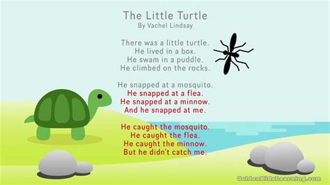 The Little Turtle by Vachel Lindsay | Famous Poem | Poetry to Memorize ...