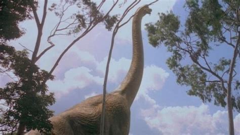 At the beginning of Jurassic Park we see a Brachiosaurus eating leaves ...