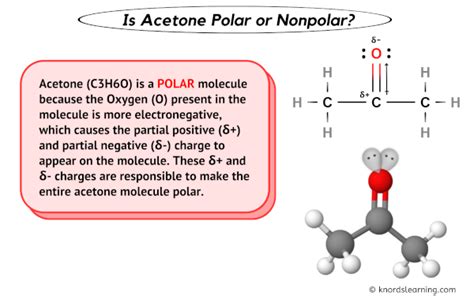 Is Acetone Polar or Nonpolar? (And Why?)