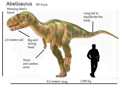 Abelisaurus by DinoSpain on DeviantArt