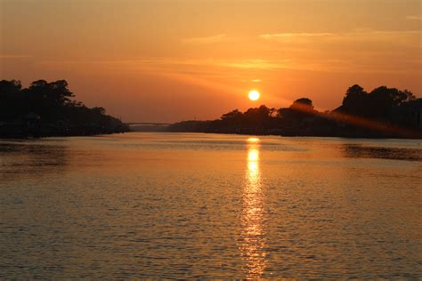 Cape Fear River Sunset Boat Tours | Boat tours, Sunset cruise, Experience nature