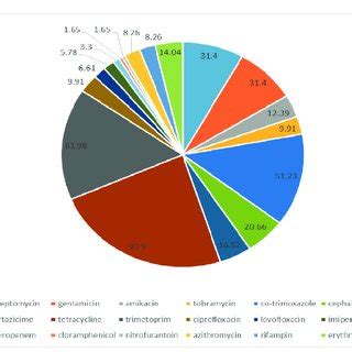 Antibiotic resistance genes in Acinetobacter baumannii strains isolated... | Download Scientific ...