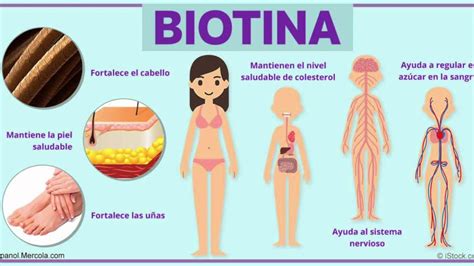 Biotina: la vitamina superpoderosa - YouTube