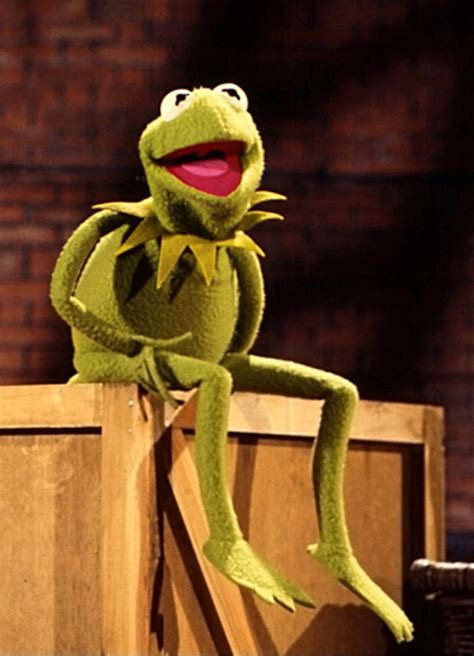 Kermit the Week: The Many Facets of the Frog - ToughPigs