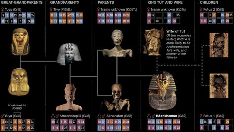 Nefertiti And Akhenaten Family Trees | ... and Other Civilization Investigations: King Tut’s ...