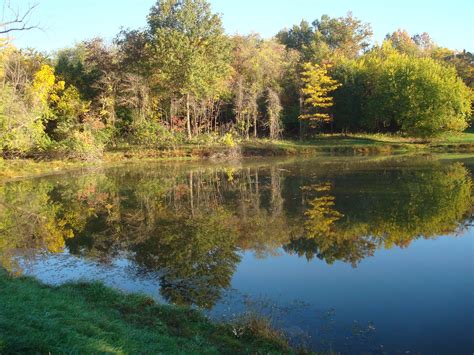 Pond at Queeny Park in the fall. Photo taken by Park Ranger Steve Tiemann. #Queeny | Park ranger ...