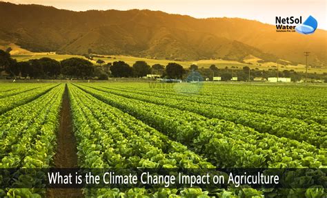 What is the Climate Change Impact on Agriculture