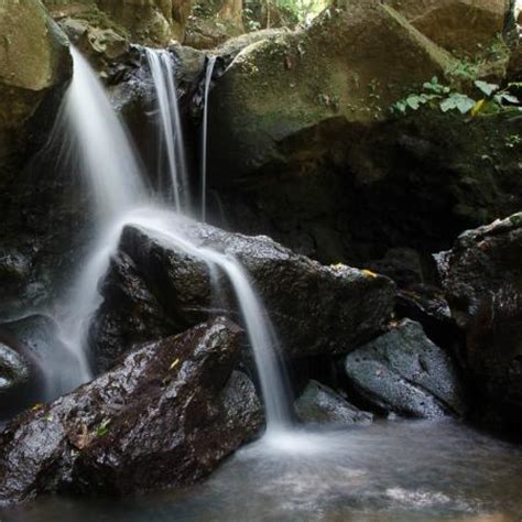 Makiling Botanic Gardens (Los Banos) - 2021 All You Need to Know Before ...