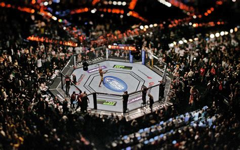 UFC Octagon Wallpapers - 4k, HD UFC Octagon Backgrounds on WallpaperBat