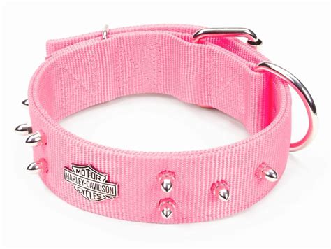 Pink Harley Davidson dog collars. Memphis will love it. | Harley davidson dog, Harley davidson