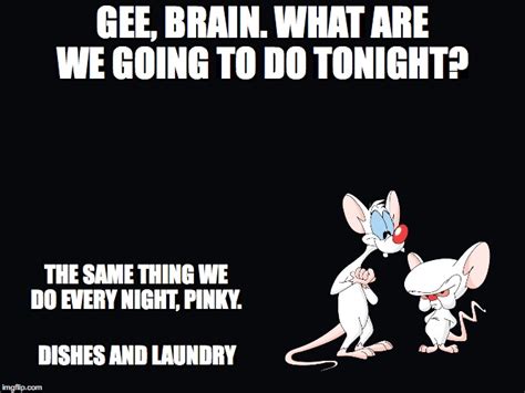 pinky and the brain Memes & GIFs - Imgflip