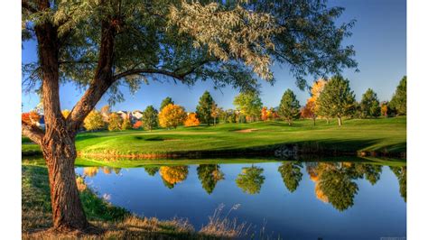 Free photo: Peaceful Pond - Beautiful, Stone, Pond - Free Download - Jooinn