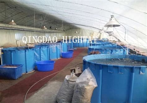 China High Quality Indoor Fish Farming Equipment Manufacturer And Wholesaler - Buy Indoor Fish ...