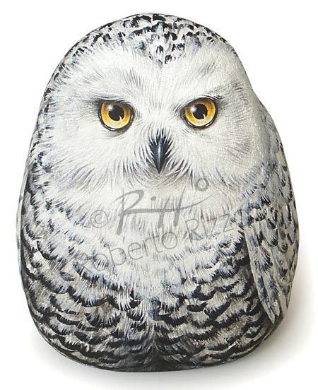 Snowy Owl Painted Rocks Owls, Owl Rocks, Painted Rock Animals, Hand Painted Stones, Painted ...