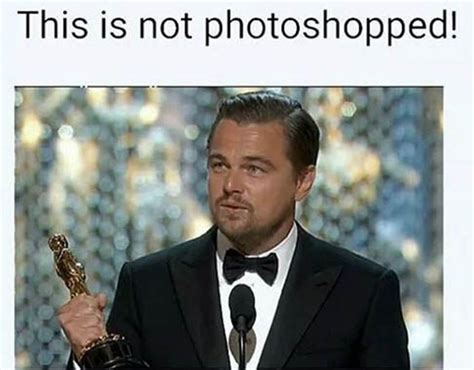 leonardo dicaprio meme | Leonardo dicaprio meme, Leonardo dicaprio, Cosplay