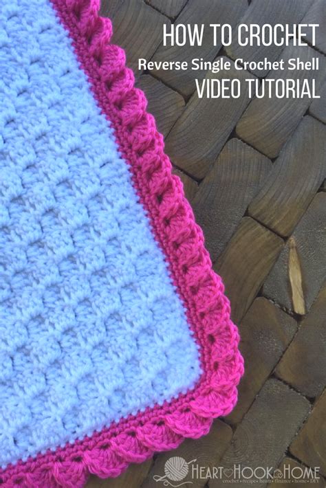 Stunning and EASY Crochet Border using Reverse Shells (Video Tutorial) | Crochet border patterns ...