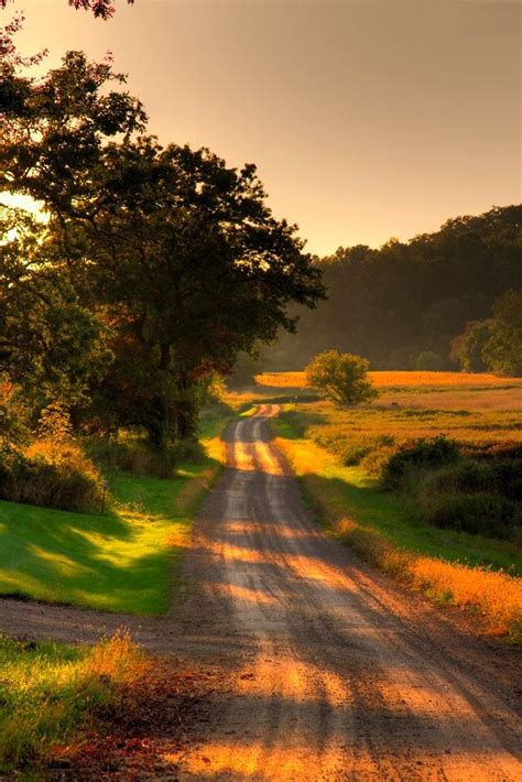 a dirt road with trees and grass on both sides