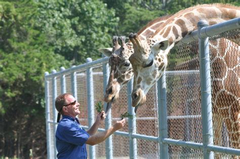 Cape May County Zoo: A wondrous animal kingdom at the end of the ...