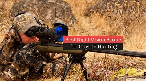 5 Best night vision scopes for coyote hunting (Thermal scope)