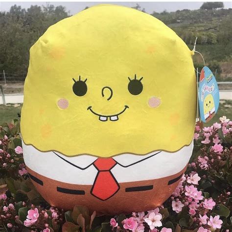 Spongebob Squishmallow yikes : r/squishmallow